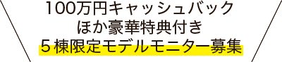 100万円キャッシュバック！５当限定モデルモニター募集